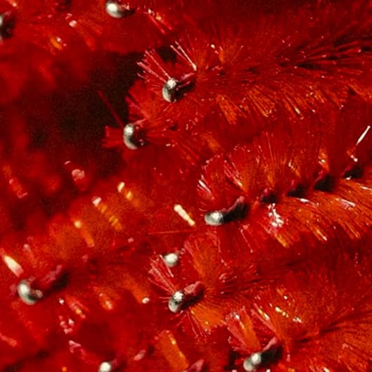 Black Friday Lash Lift & Tint at Lustre Lash & Skin Studio in Loveland, CO